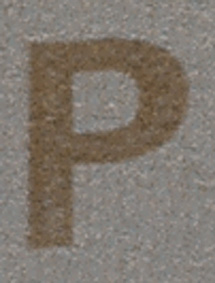 PP20