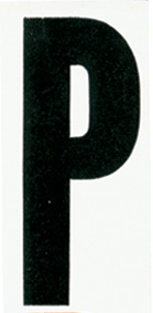 PP24