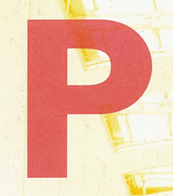 PP30