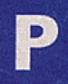 PP31