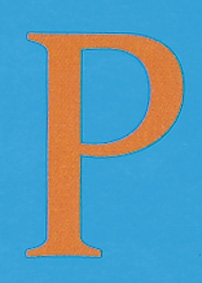 PP53